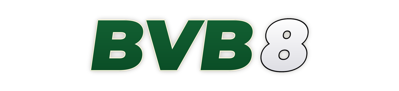 bvb8